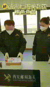 ΢ͼƬ_20230329102830.gif