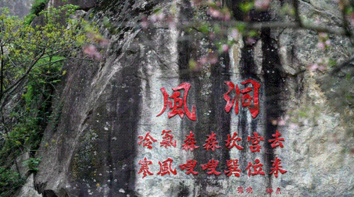 1681977293891285.gif