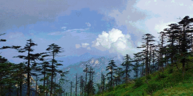 ΢ͼƬ_20230420155811.gif