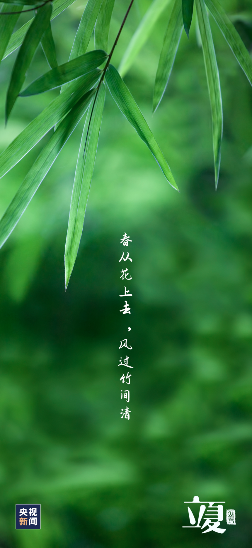 1683339681799540.png
