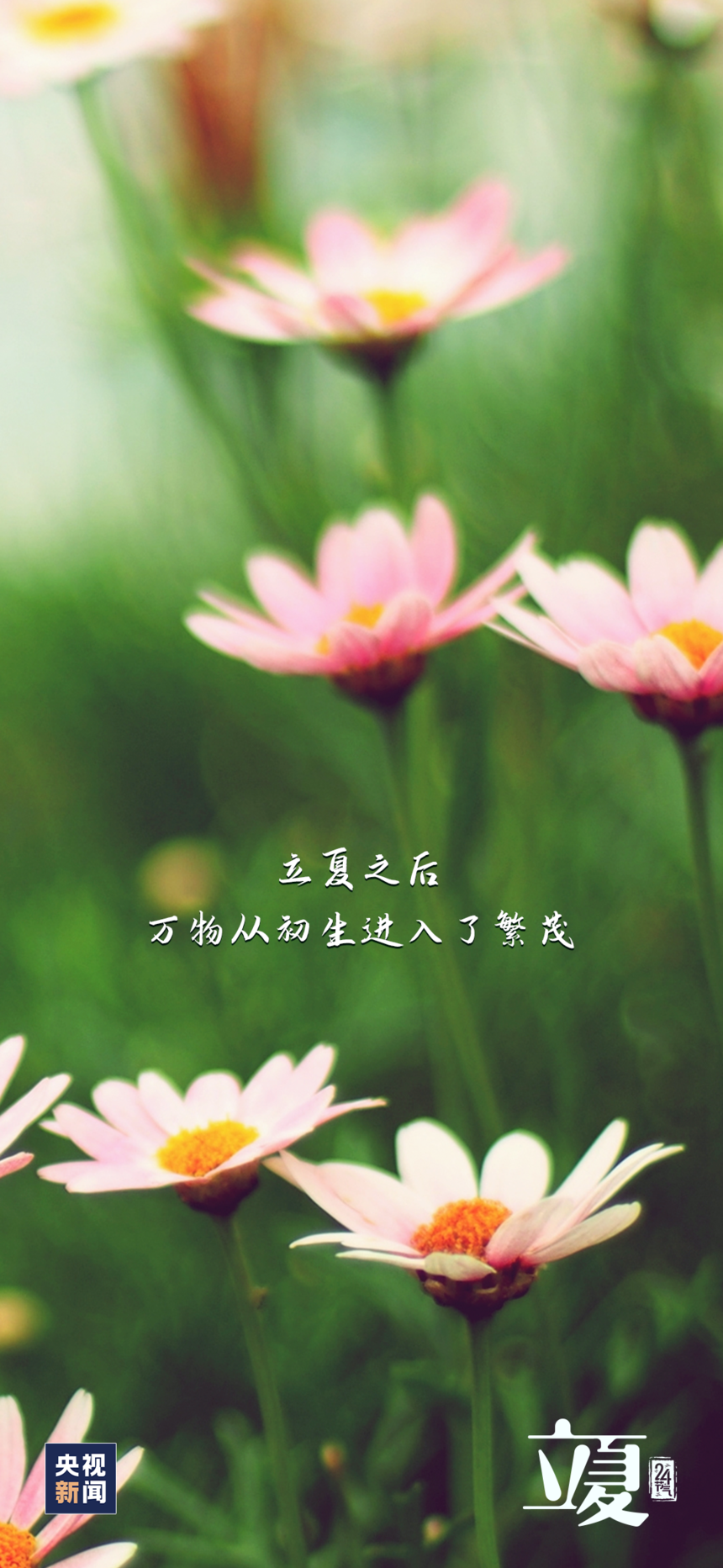 1683339799864940.png