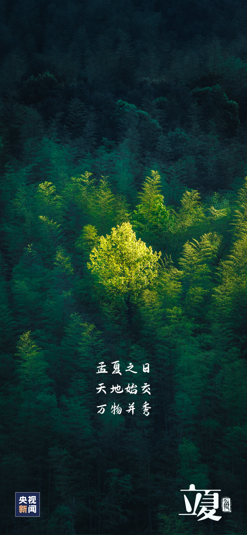 1683339865314942.png