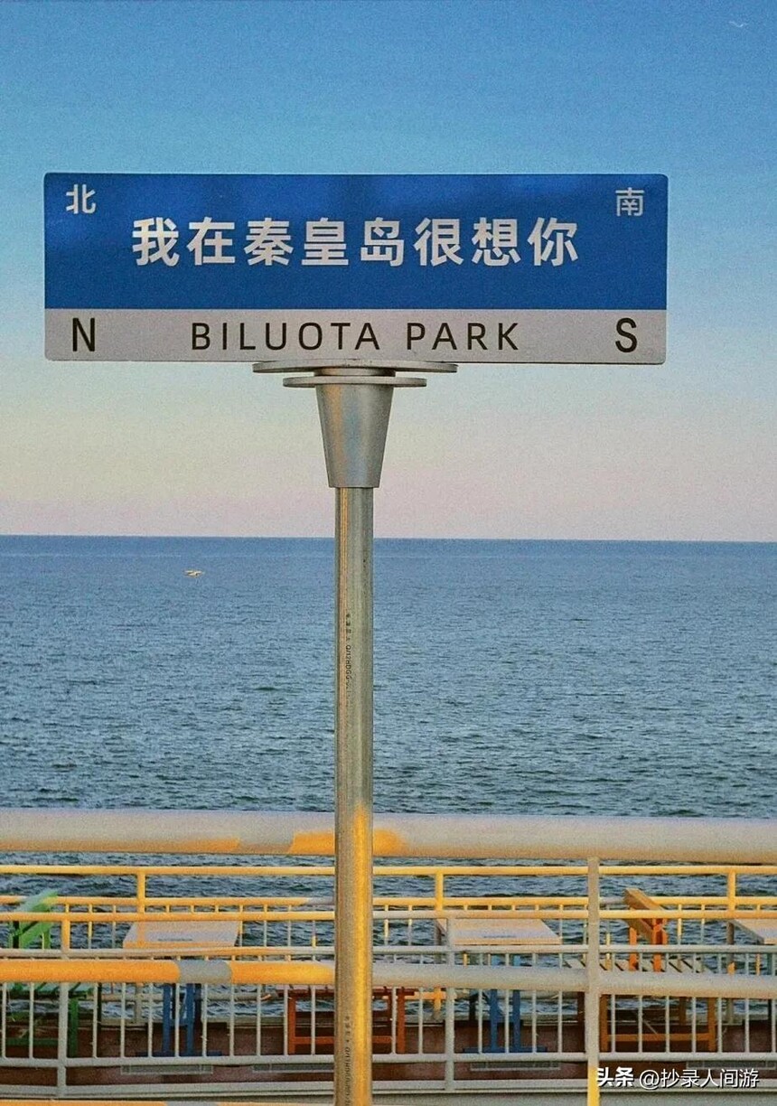 1686040726576781.jpg