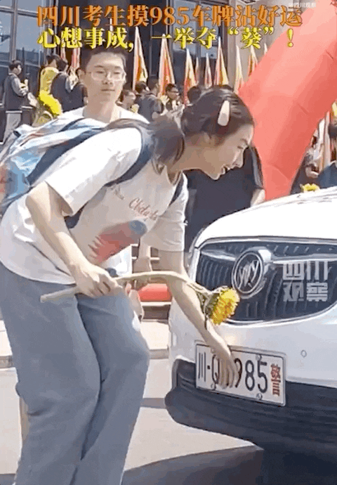 1686191417306773.gif