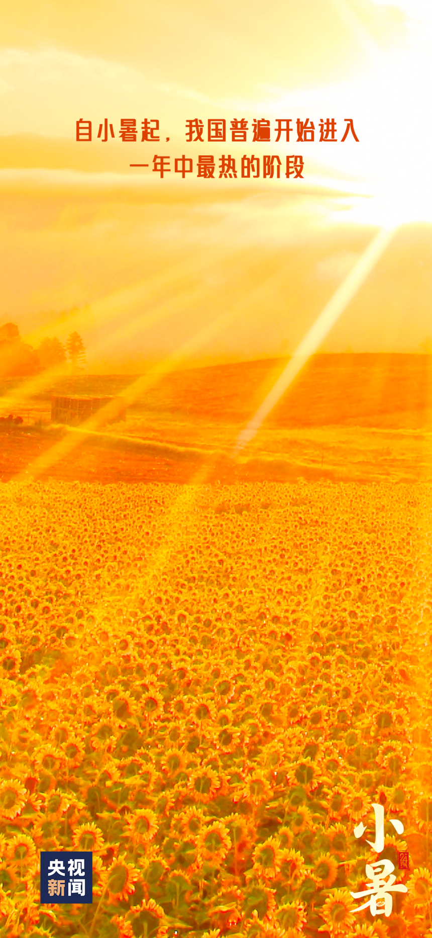 1688693434477656.png
