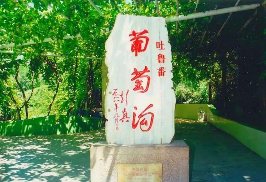 1690186898548040.jpg