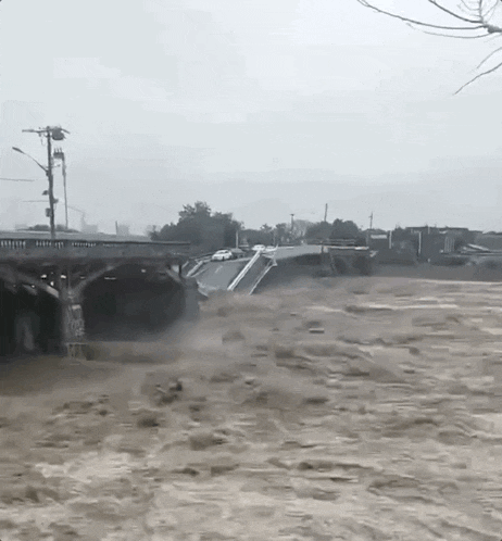 1690853588174469.gif