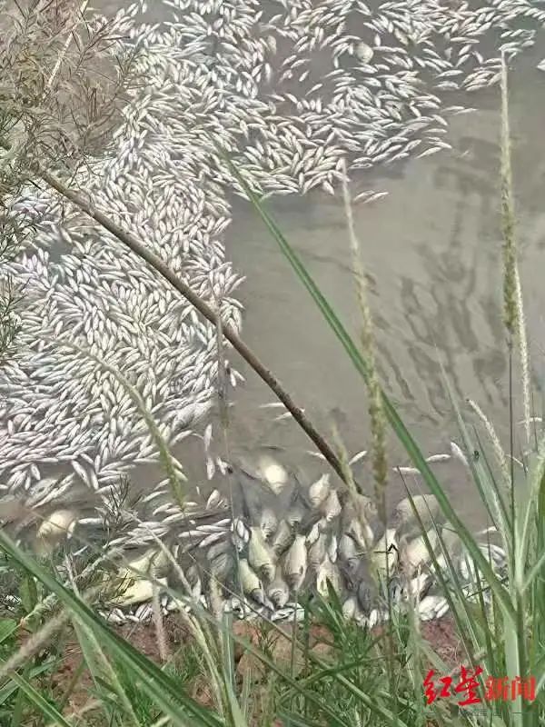 1692932386741222.jpg 1692932386741222.jpg