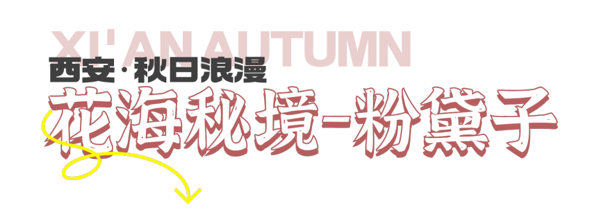 1697530124452796.png