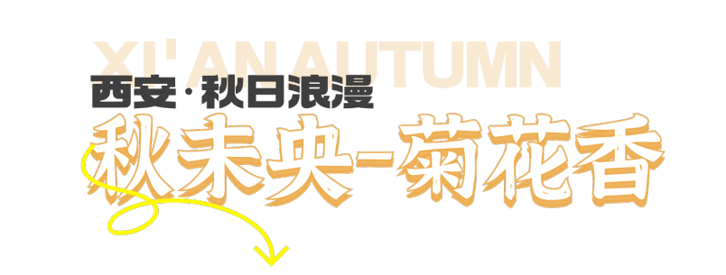 1697530715309646.png