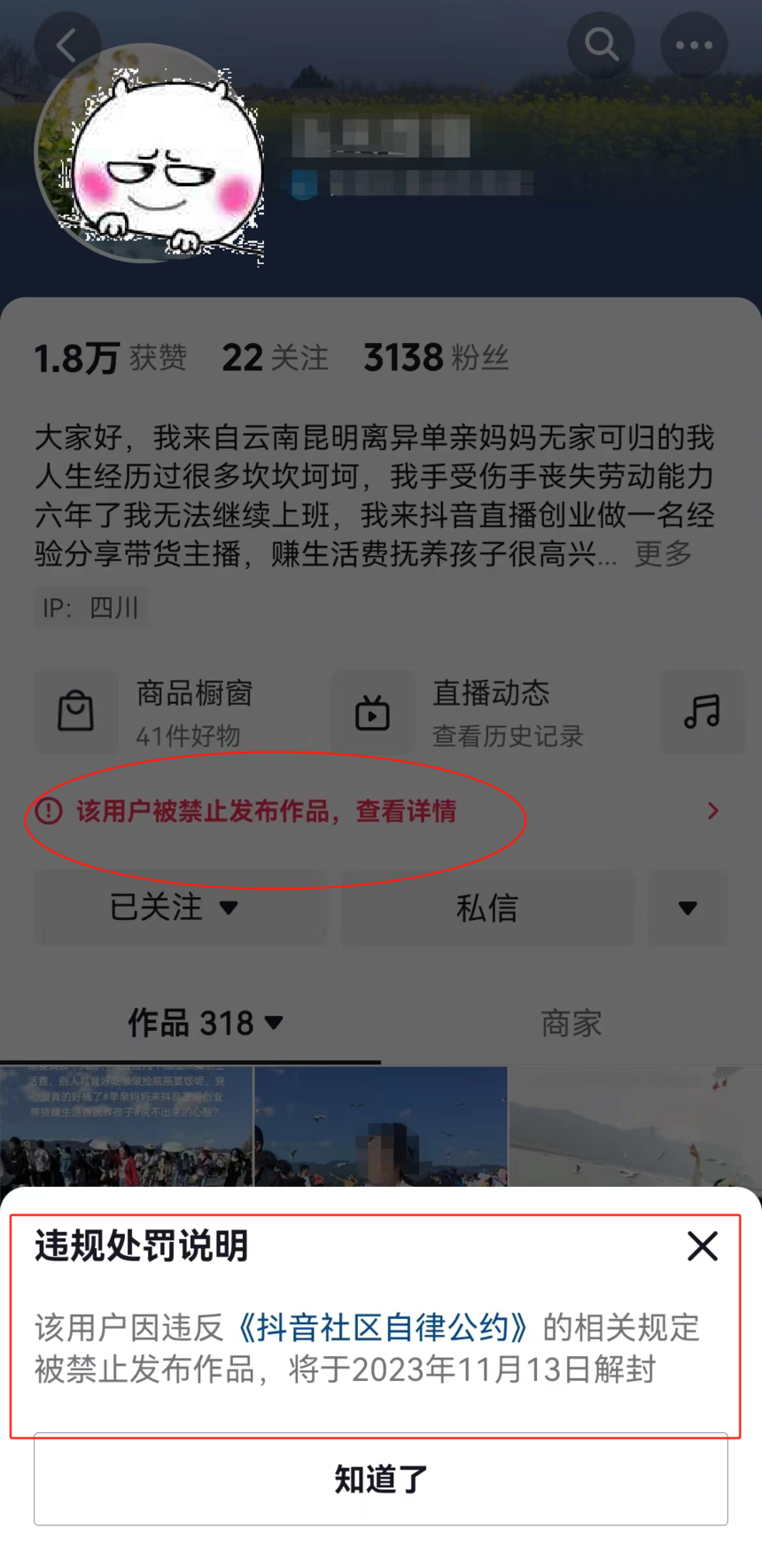 1699411300711223.png