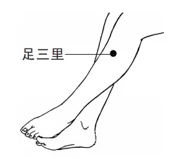 1702525560518144.jpg