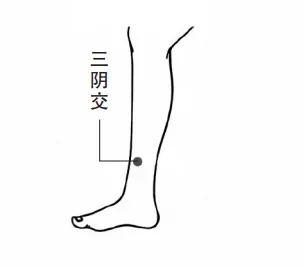 1702525595681742.jpg
