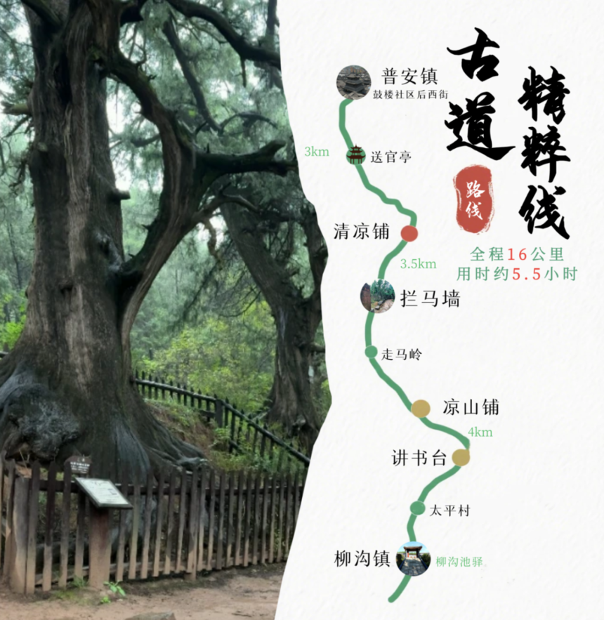 640 (2).png