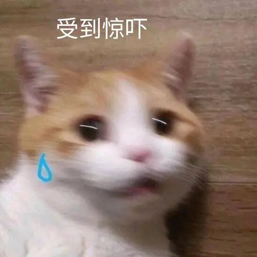 mmexport265359b18e60522639e1d674a6f68c5d_1752883709620.jpeg