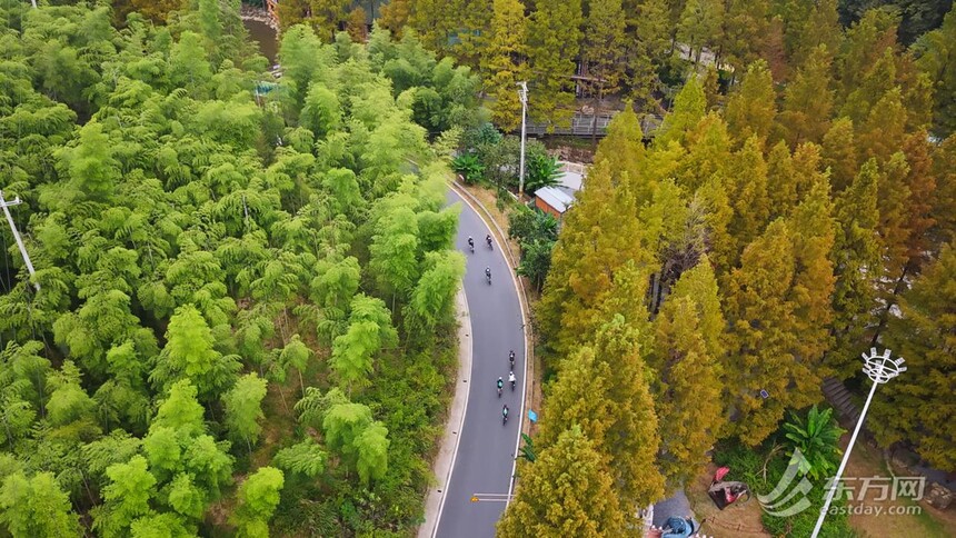 1761877666520825.jpg token=e0b7f67c1608cc38d5095cde3cb82c49.jpg