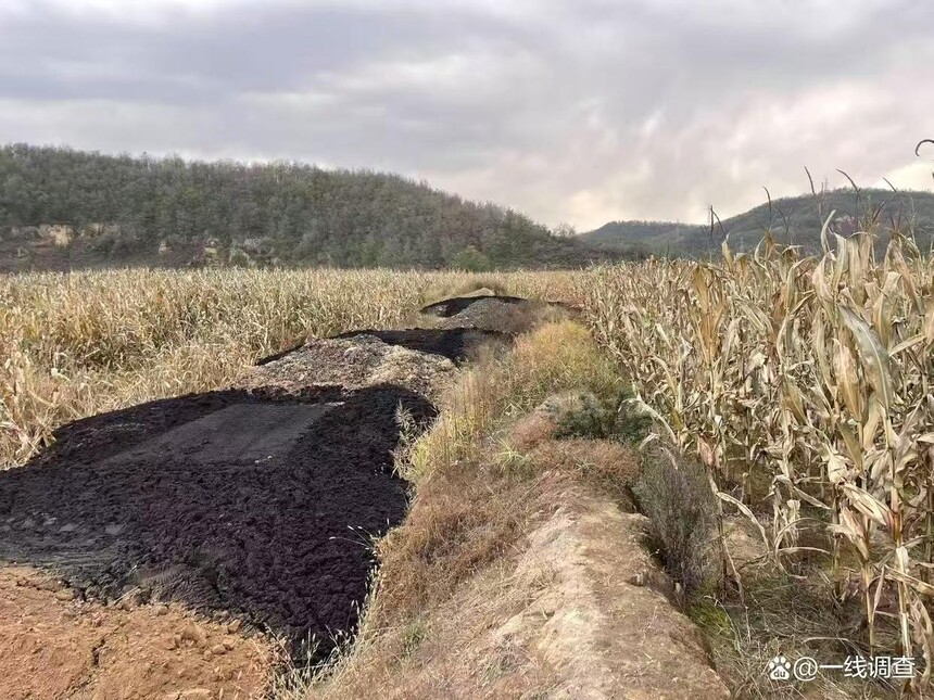 1763426612142712.jpg 微信圖片_20251118084209_58_100.jpg