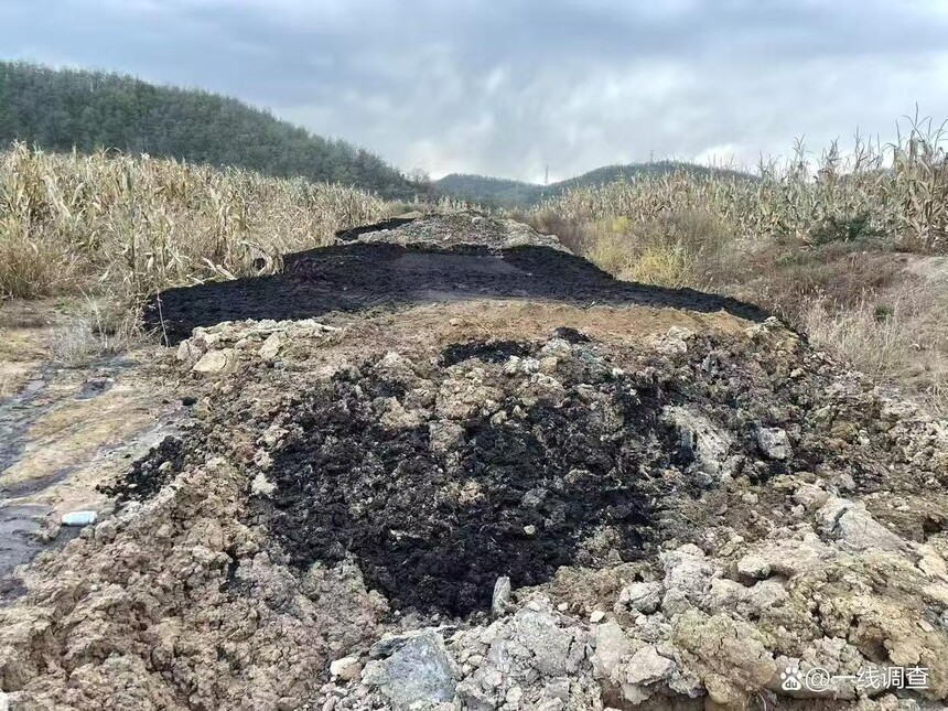 1763426671285481.jpg 微信圖片_20251118084216_61_100.jpg