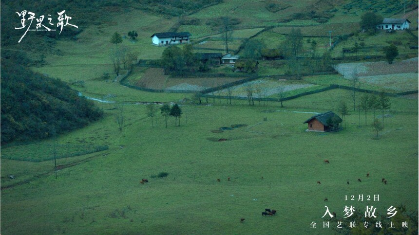 1764998849639146.jpeg mmexportc5b772a54bcef56c7f994496582bfd7c_1764998526141.jpeg