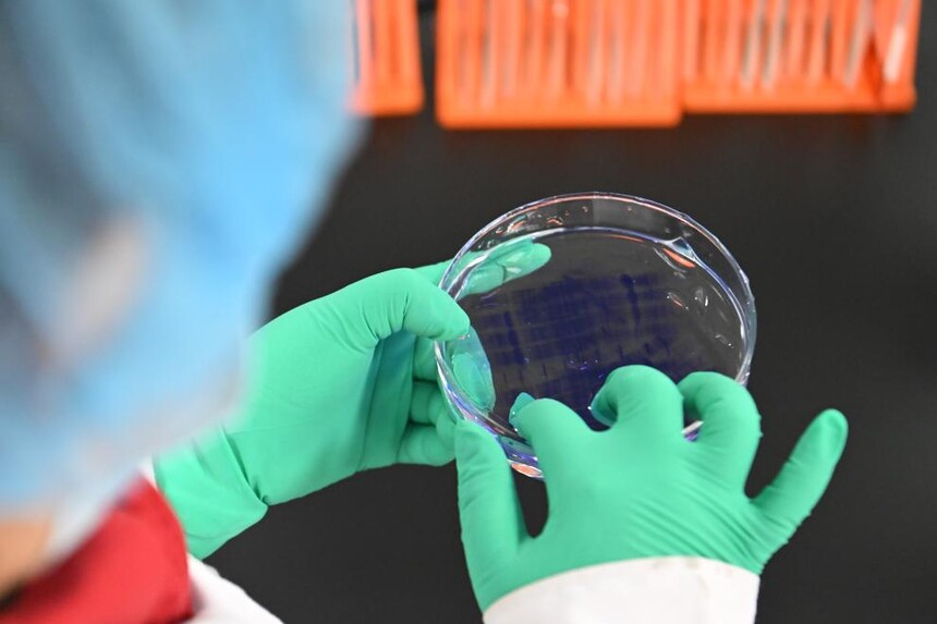 1767834356387622.jpeg 20260107112520369-75-a8138.jpeg