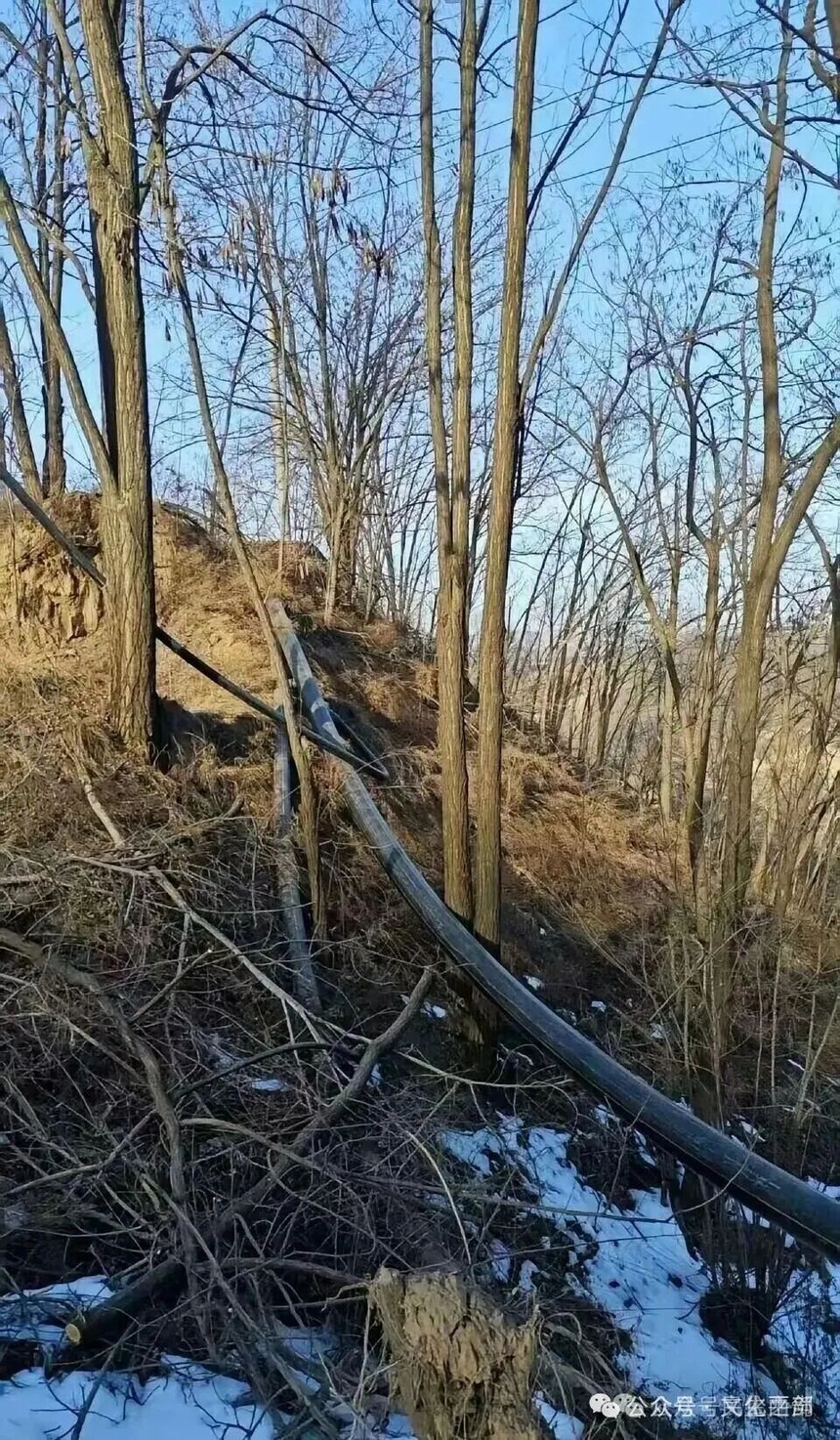 1769149124538827.jpg 640 (1).jpg