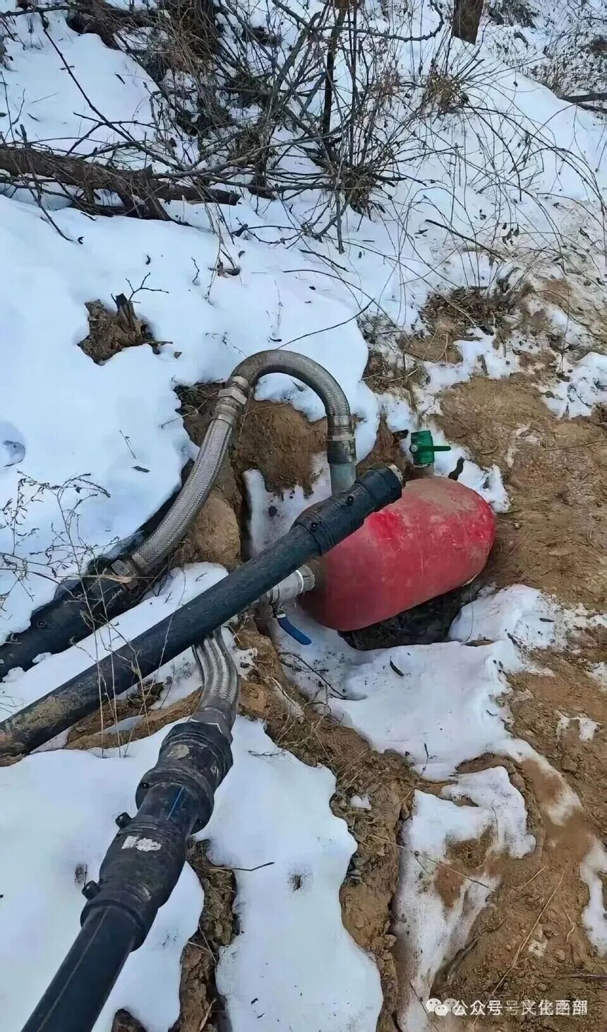 1769149145561981.jpg 640 (2).jpg