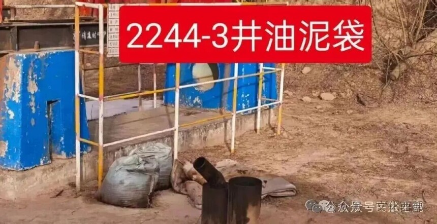 1769149193453744.jpg 640 (4).jpg