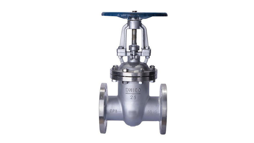 Z41W-25P-DN100-Ply-2.png