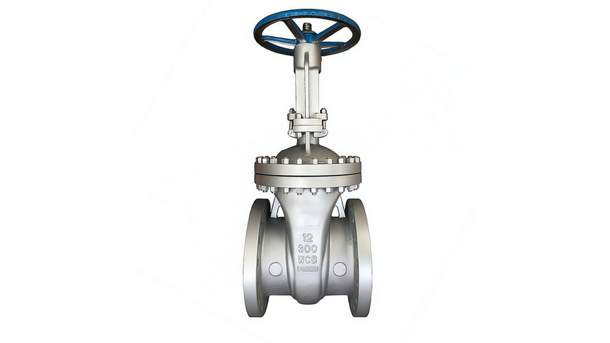 Z40H-300LB-DN300-(bio)ly-2.png