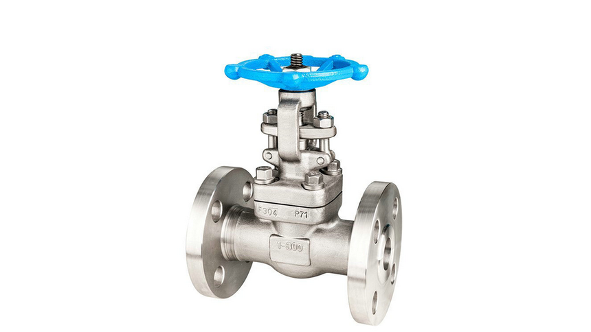 Z40W-300LB-F304-ly-2.png