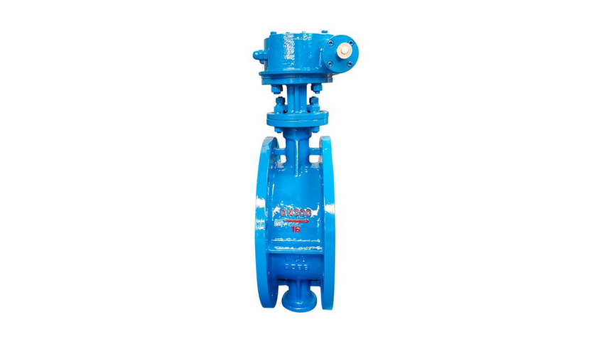 D343H-16C-DN300-˷my-2.png