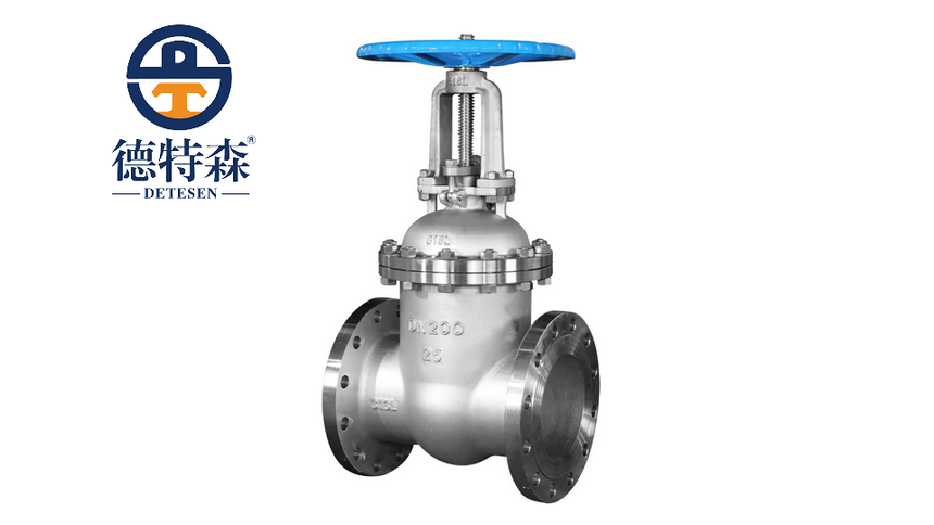 Z41W-25P-DN200-քӲPly-2.png