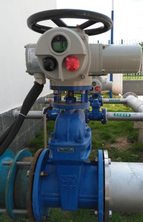 mmexport1600393707233.jpg