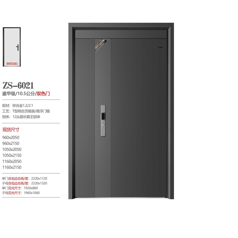1 ZS-6021.jpg