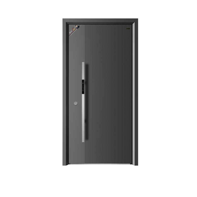 2 ZS-T80.jpg