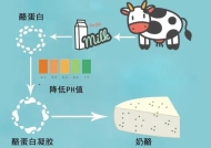 干酪素在各行業中的用途