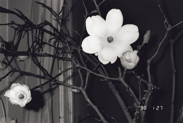 D4 ϵ  y}ֹŴ 51*61cm.jpg