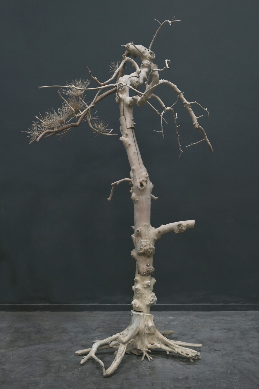 ʷNo.1 pذ桷 168x110x260cm~(sh)ľ2021.JPG