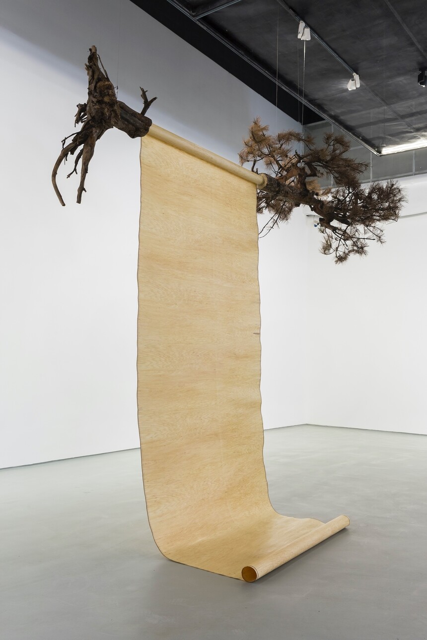  һɡ 260450cmľȾCϲ2017.jpg