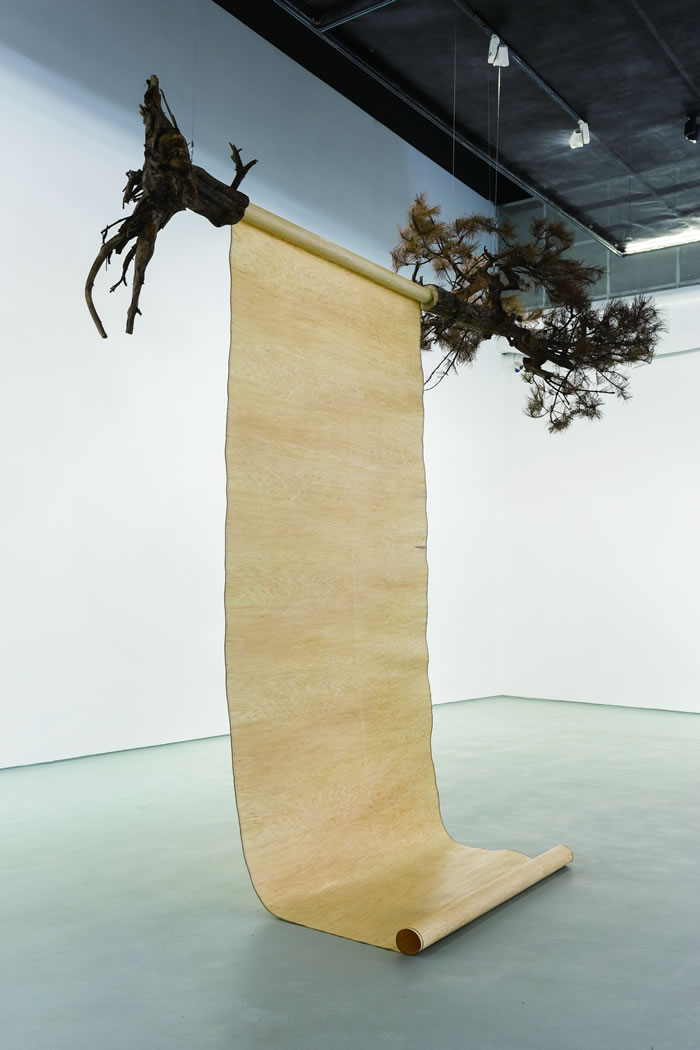  һɡ 260450cmľȾCϲϣ2017 ؐ.jpg