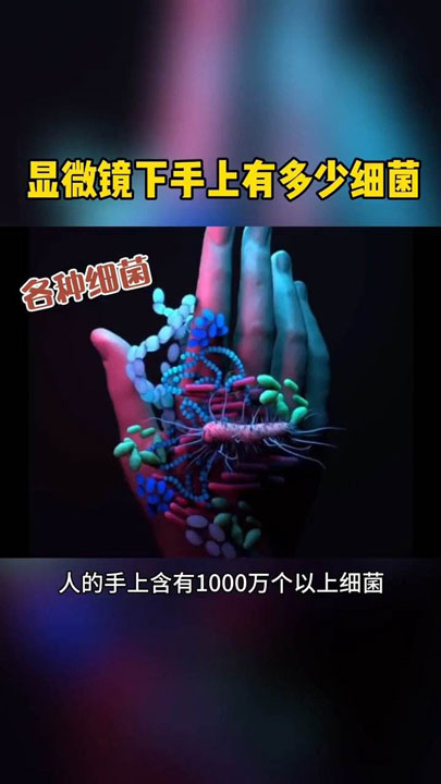 手部細菌-720.jpg