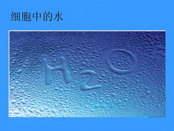 (x)ˮ-360dpi.jpg
