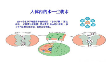 生物水-360dpi.jpg