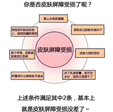 DƬ5-360dpi.gif