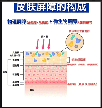 DƬ2-380dpi.gif