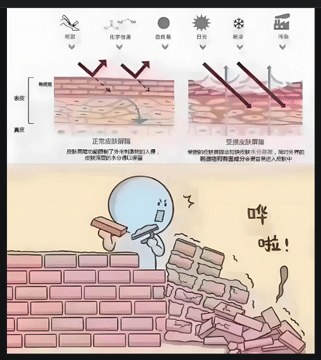 DƬ4-360dpi.gif
