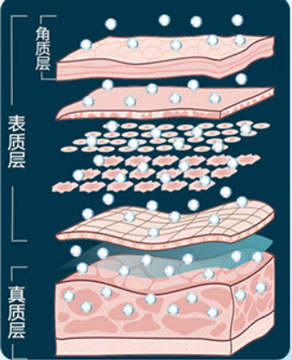 DƬ6-360dpi.jpg