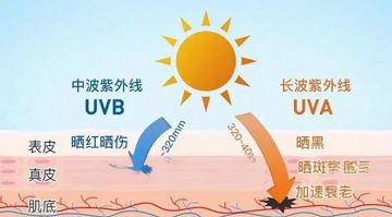 1779935682722098.png 图片2-360dpi.png