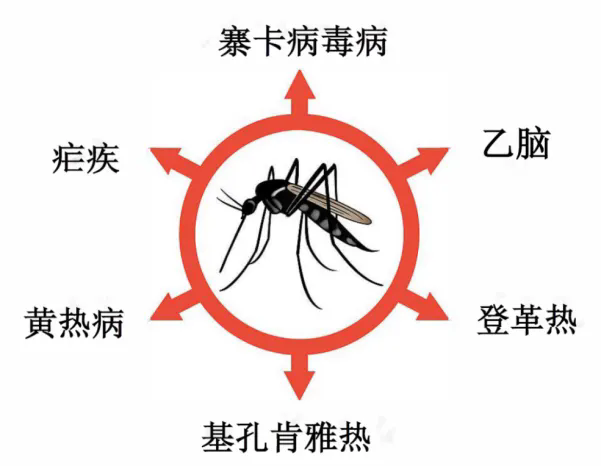 1.webp (1).png