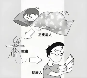 640.webp (1).png